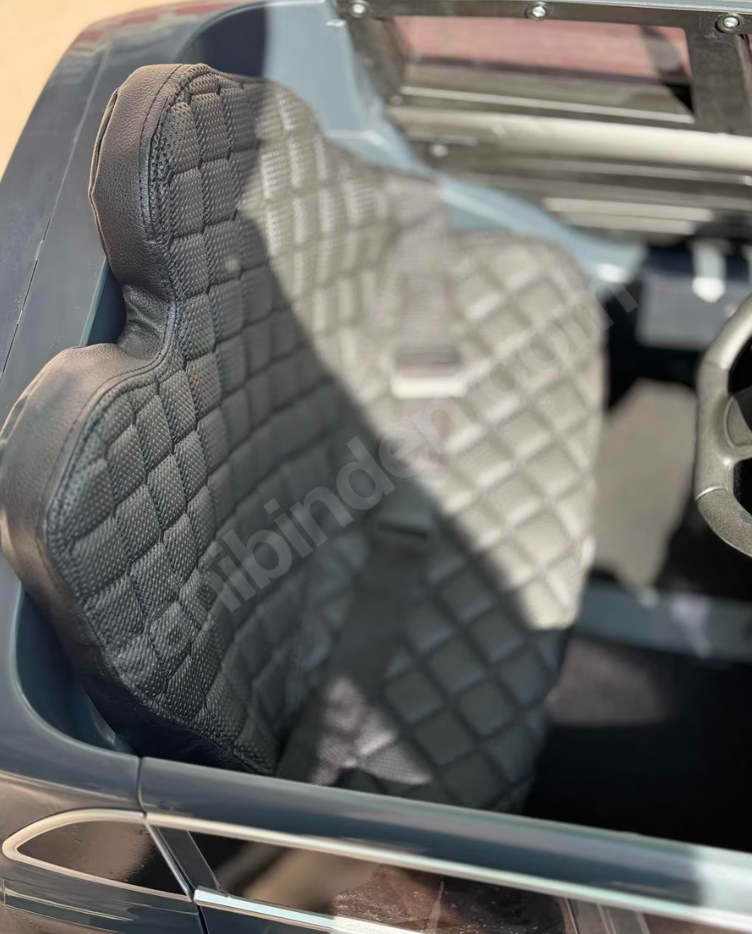 Audi Akülü Araba