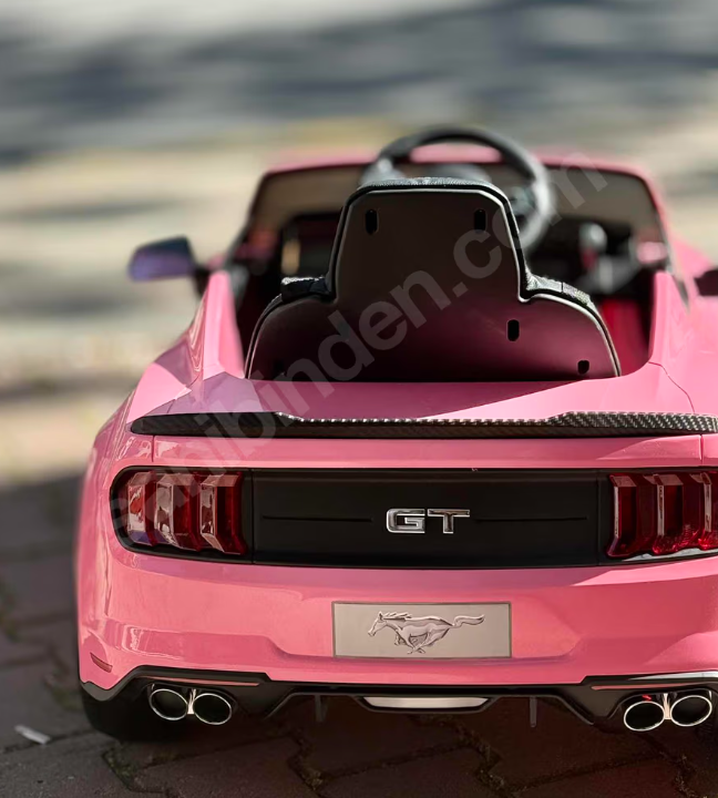 Mustang Akülü Araba